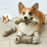 Juguete mordedor de cuerda de algodón para perros con forma de mancuerna y pelotas de tenis, disfrutado por un corgi feliz.