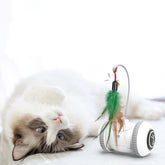 Interactive Cat Toy with Interchangeable Heads - automated toy with feathers, engaging indoor play for cats.