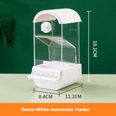 Dome-White automatic bird feeder for parrots with transparent container and measuring dimensions.