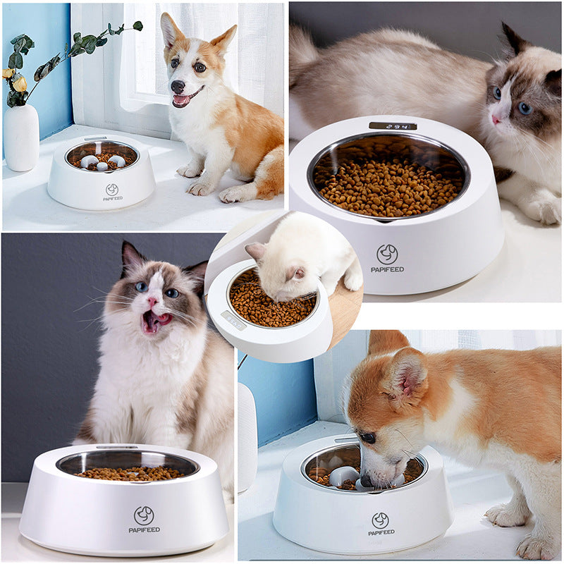 Comedero lento inteligente para perros con mascotas disfrutando de su comida, para comer a un ritmo más pausado.