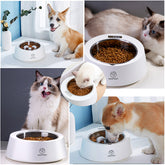 Comedero lento inteligente para perros con mascotas disfrutando de su comida, para comer a un ritmo más pausado.