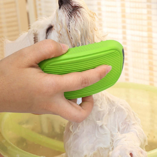 Dog cleaning and grooming kit in use, featuring a pet bath brush for effective dog grooming and cleaning tools.