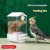 Automatic bird feeder for parrots with clear container and parrot nearby, ideal for pet bird feeding.