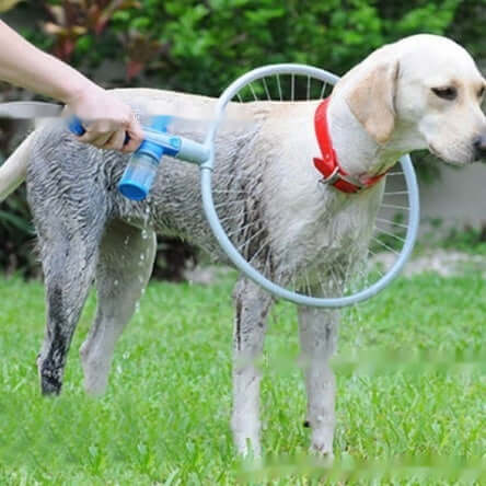 Pet shower brush for grooming used on a wet dog, enhancing bath time experience with water and gentle massage.