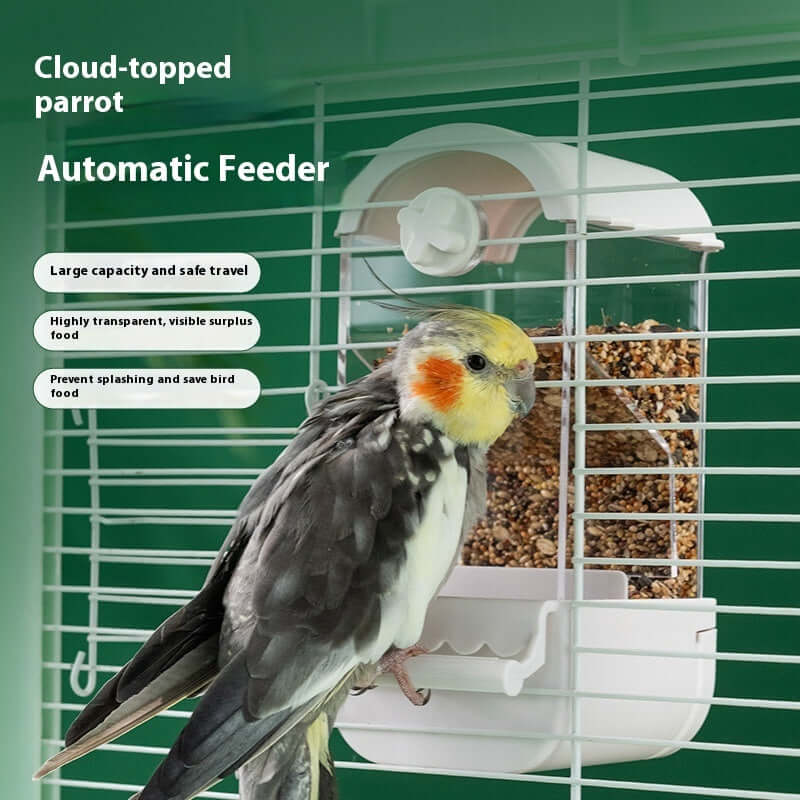 Automatic feeder for parrots in a birdcage, providing a convenient food dispenser for pet birds.