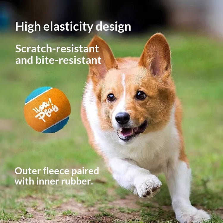Durable chew ball launcher for dogs in action, featuring a corgi with a tennis ball, showcasing high elastic design.