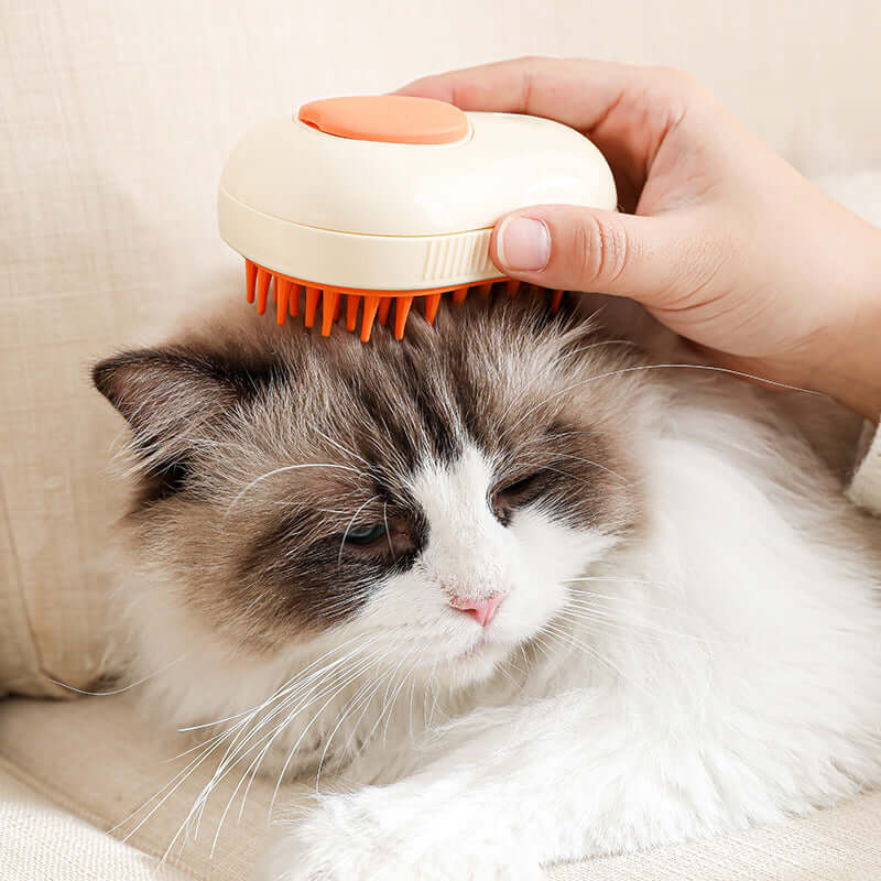 Person using electric steam brush for pets on a fluffy cat, enhancing grooming and coat care.