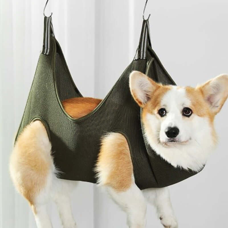 grooming hammock harness for pets holding a comfortable corgi for safe grooming