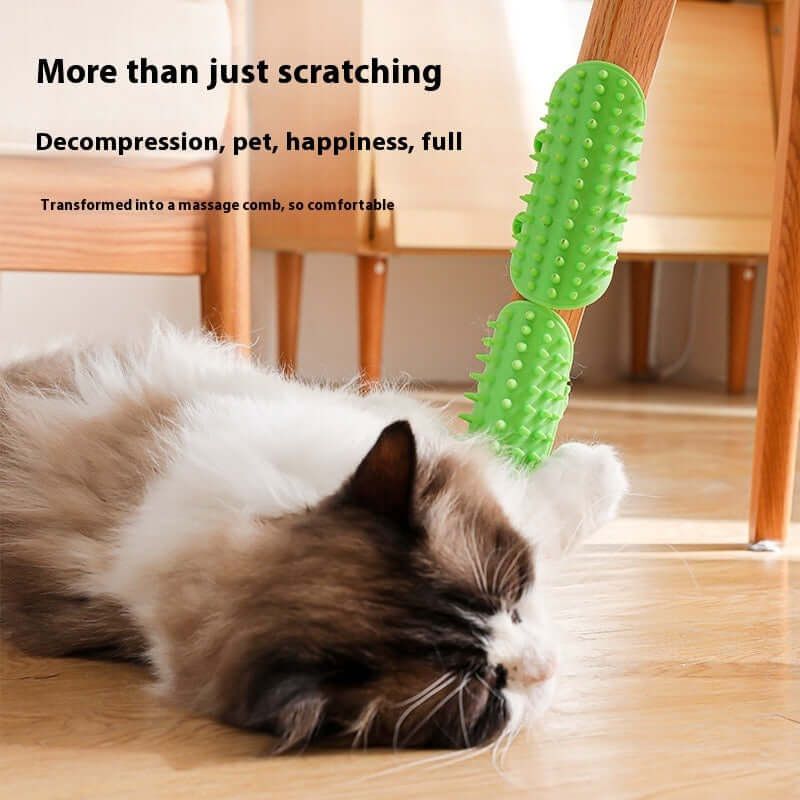 Cat Hair Removal Massage Comb next to a relaxed cat on the floor, demonstrating comfort and grooming benefits.