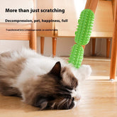Cat Hair Removal Massage Comb next to a relaxed cat on the floor, demonstrating comfort and grooming benefits.
