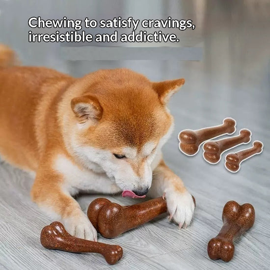 Durable chew toy for dogs with a dog enjoying long-lasting chew bones on a wooden floor.