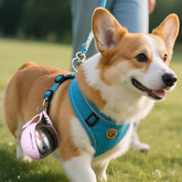Portable dog water bottle for small dogs attached to harness of an adorable corgi during a walk in the park.