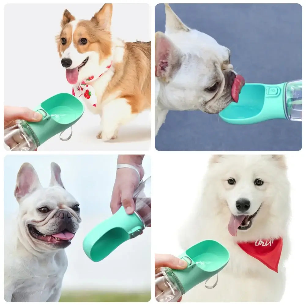 Various dogs drinking from a leakproof portable dog water bottle, perfect for outdoor hydration.