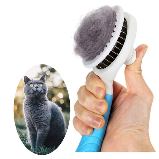 Cepillo autolimpiable para gatos en la mano, con pelo recogido, junto a un gato gris esponjoso en un entorno natural.