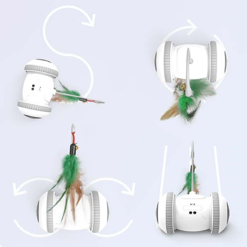 Interactive Cat Toy with Interchangeable Heads demonstrating movement and feather accessories for pets.