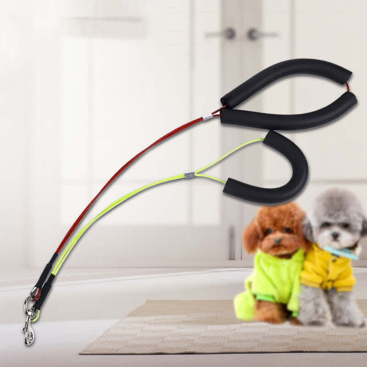 Universal pet grooming table for dogs and cats shown with two puppies in colorful outfits.