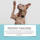 Dog raising paw with a tag, showcasing the dog and cat paw cleaner moisturizer for preventing cracking.