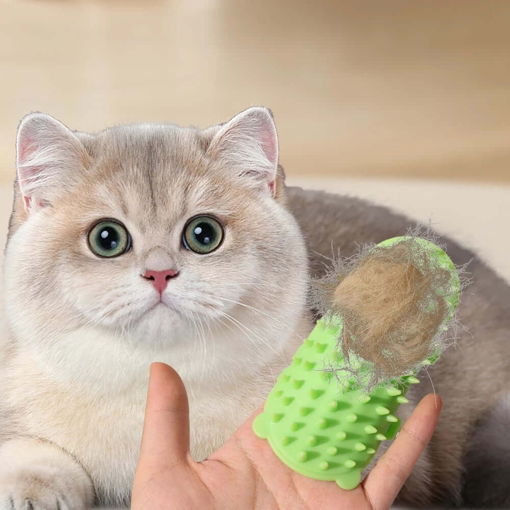 Cat hair removal massage comb in hand with cat in background, effective for grooming and shedding.