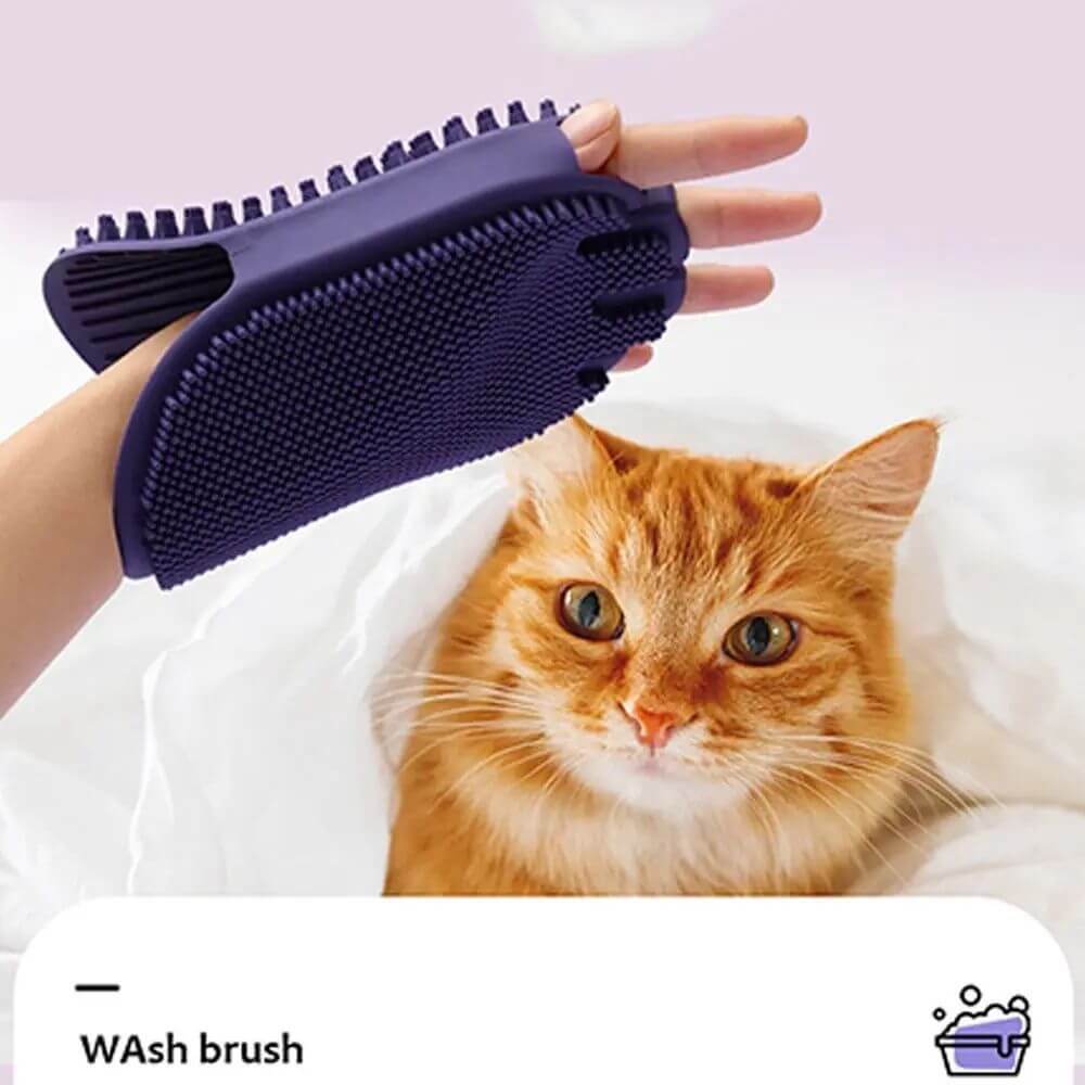 Pet shampoo massage brush for dogs and cats being used on a happy orange cat in a cozy setting.