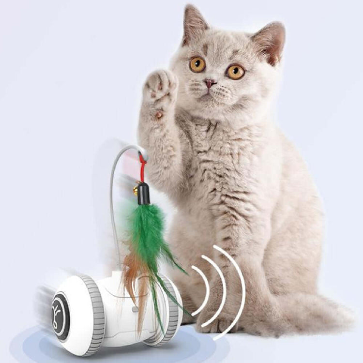 Interactive Cat Toy with Interchangeable Heads - Cat playing with automated feather toy.